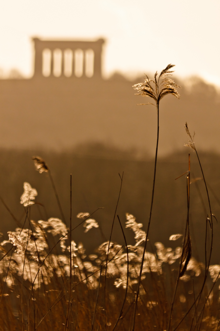 Reed lights CREDIT Mike Veitch.jpg